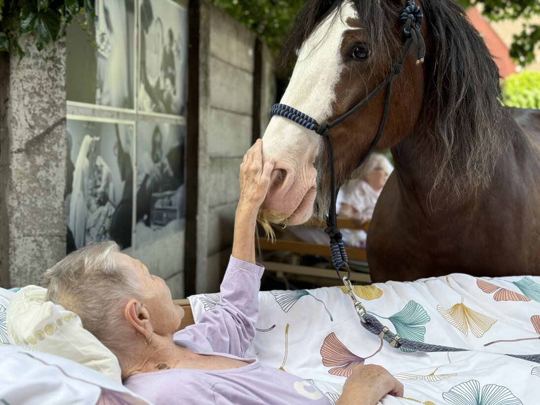 Hlasujte za náš hospic aj VY!