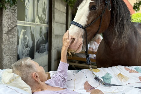Hlasujte za náš hospic aj VY!